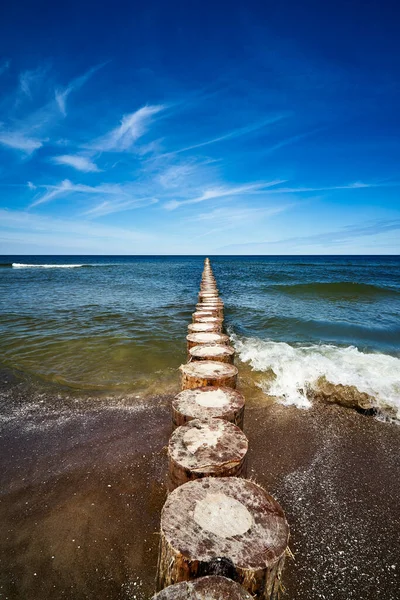 Tahta yığınları denizdeki yosunlarla kaplanmış.