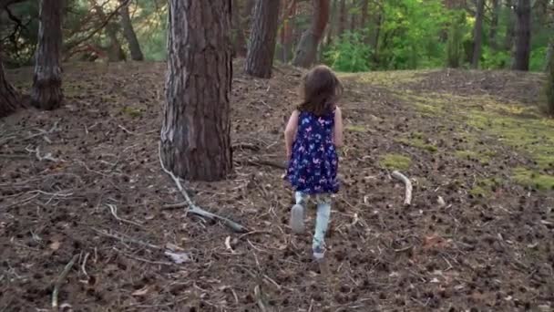 Menina em um vestido de verão corre em uma floresta de pinheiros — Vídeo de Stock