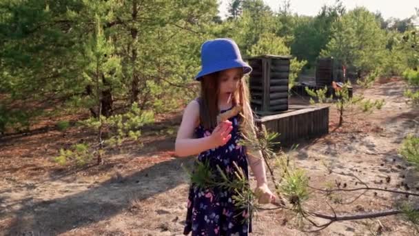 Holčička v letních šatech drží dřevěnou hračku zbraň v borovém lese — Stock video