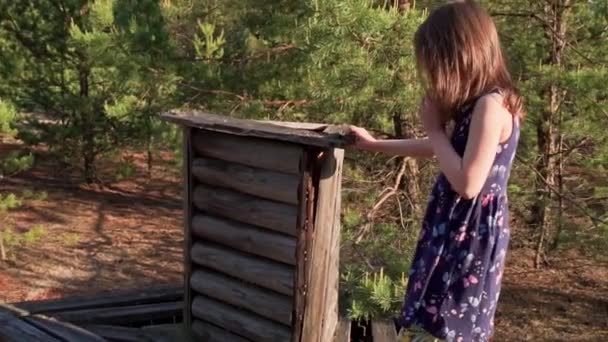 Bambine in abiti stanno giocando sulla vecchia panchina abbandonata nella foresta — Video Stock