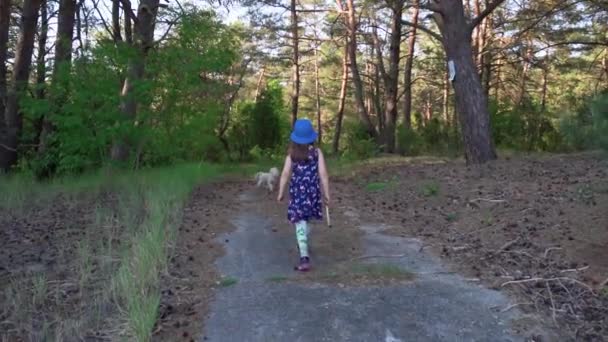 Mädchen im Sommerkleid läuft in einem Kiefernwald — Stockvideo