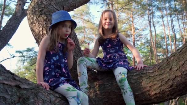 Duas meninas em vestidos de verão estão subindo uma árvore na floresta — Vídeo de Stock