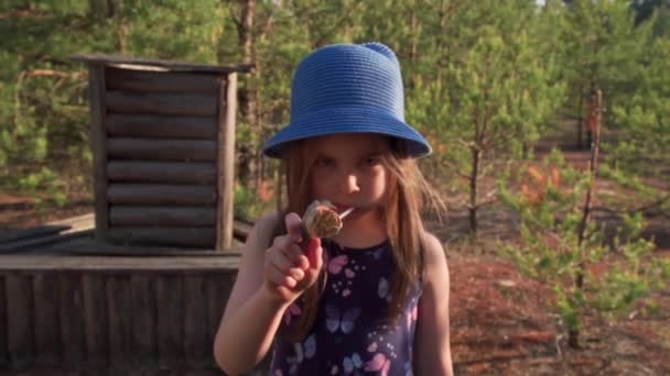 Egy kislány egy nyári ruhában egy fa játékpisztolyt tart a fenyőerdőben. — Stock videók