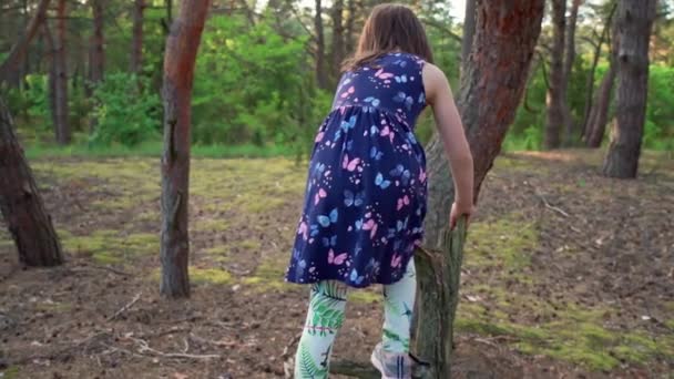 Bambina in abito estivo sale su un albero nella foresta — Video Stock