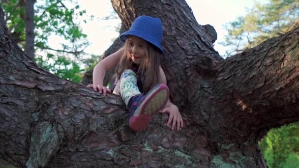 Yazlık elbiseli küçük kız ormanda bir ağaca tırmanıyor. — Stok video