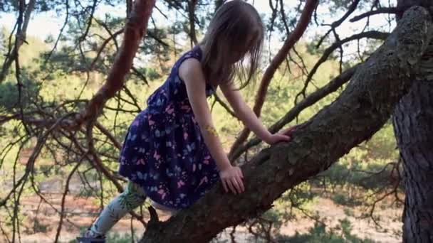 Kleines Mädchen im Sommerkleid klettert im Wald auf einen Baum — Stockvideo