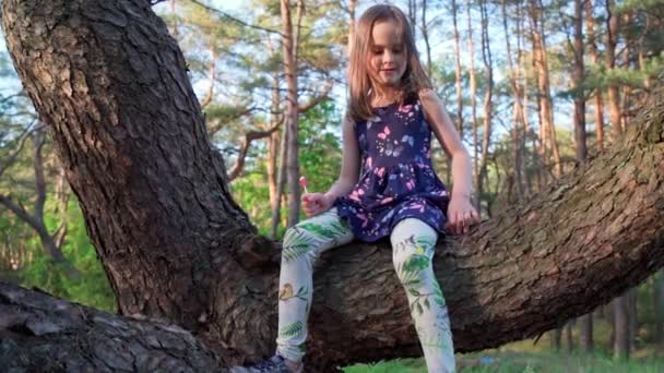 Menina em um vestido de verão sobe uma árvore na floresta — Vídeo de Stock
