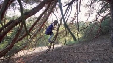 Yazlık elbiseli küçük kız ormanda bir ağaca tırmanıyor.