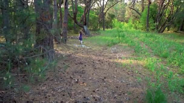 Mädchen im Sommerkleid läuft in einem Kiefernwald — Stockvideo