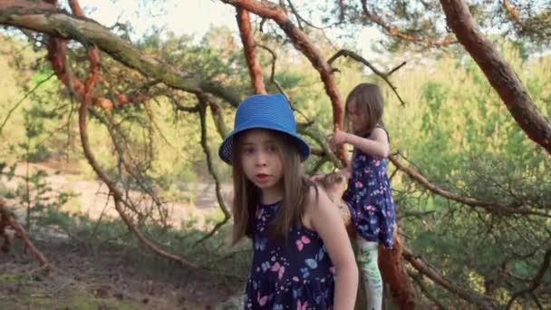 Due ragazze in abiti estivi stanno scalando un albero nella foresta — Video Stock