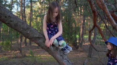 Yazlık elbiseli iki kız ormanda bir ağaca tırmanıyorlar.