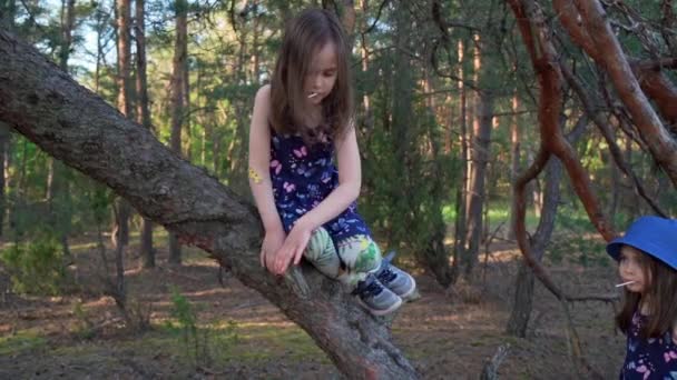 Дві дівчини в літніх сукнях піднімаються на дерево в лісі — стокове відео