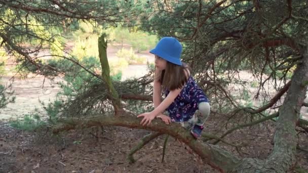 Kleines Mädchen im Sommerkleid klettert im Wald auf einen Baum — Stockvideo