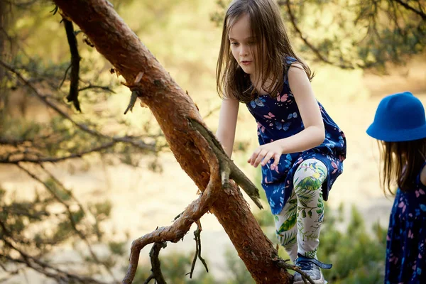 Duas meninas em vestidos de verão estão subindo uma árvore na floresta — Fotografia de Stock