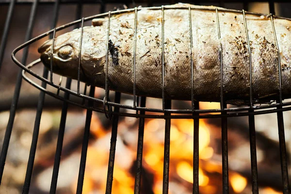 Deliciosa trucha con especias asadas en una parrilla sobre un fuego —  Fotos de Stock