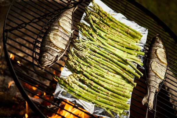 Truta com temperos e espargos verdes assados em uma grelha sobre um fogo — Fotografia de Stock