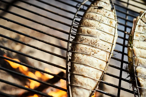 Läcker öring med kryddor stekt på en grill över en eld — Stockfoto