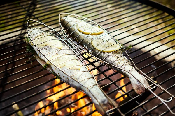 Ikan trout lezat dengan bumbu panggang di atas panggangan di atas api Stok Foto Bebas Royalti