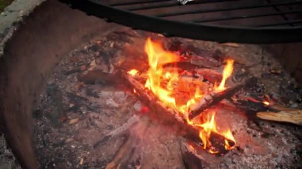 Pstrąg z przyprawami i zielonymi szparagami pieczony na grillu przy ognisku — Wideo stockowe