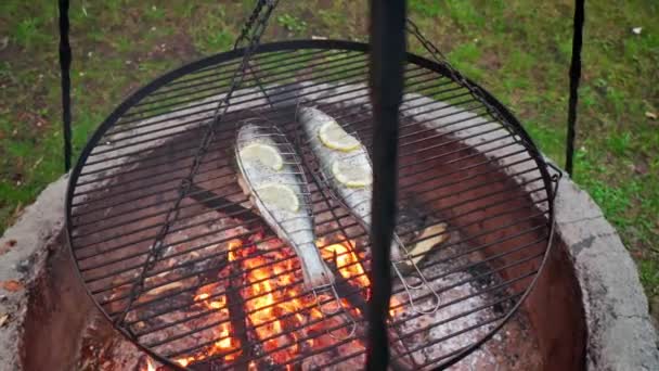 Ikan trout lezat dengan bumbu panggang di atas panggangan di atas api — Stok Video
