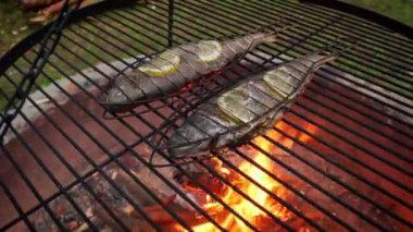 Lezzetli alabalık, ateşte ızgarada pişmiş baharat.