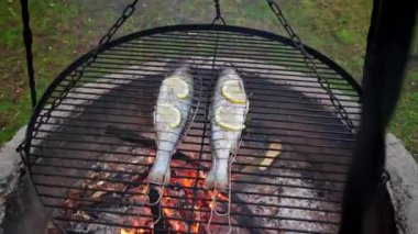 Lezzetli alabalık, ateşte ızgarada pişmiş baharat.