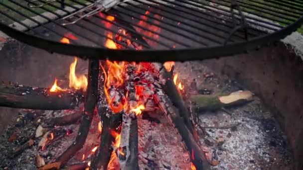 Νόστιμη πέστροφα με μπαχαρικά ψητό σε μια σχάρα πάνω από μια φωτιά — Αρχείο Βίντεο
