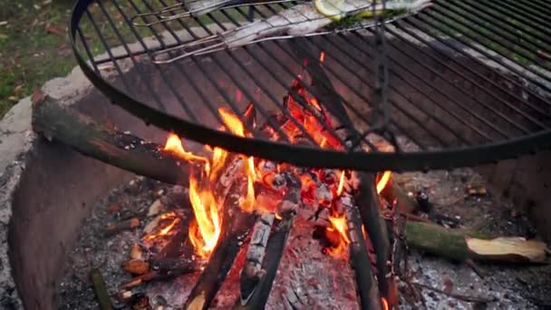 Délicieuse truite aux épices rôtie sur un gril sur un feu — Video