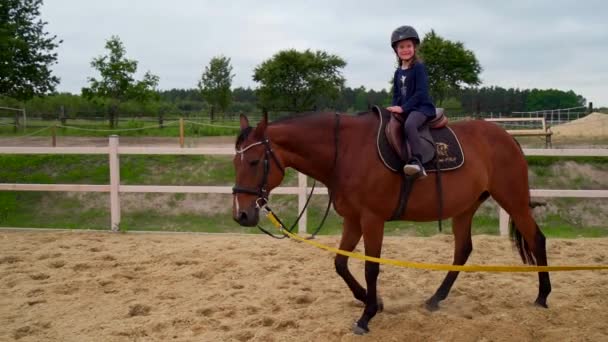 Holčička se učí jezdit na koni na ohradě — Stock video
