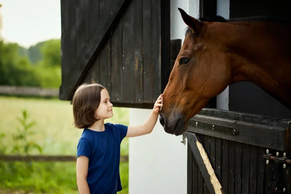 Το κοριτσάκι χαϊδεύει ένα όμορφο άλογο στον αχυρώνα. Royalty Free Εικόνες Αρχείου