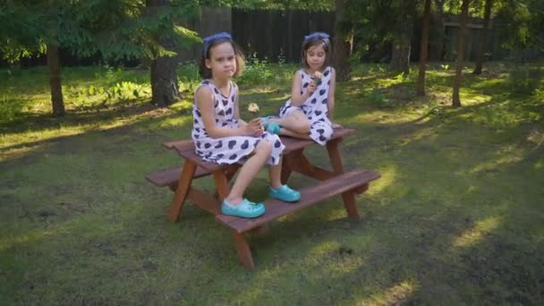 Two beautiful girls are eating ice cream on a bench in the summer forest — Stock Video