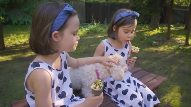 Δύο όμορφα κορίτσια τρώνε παγωτό σε ένα παγκάκι στο καλοκαιρινό δάσος. — Αρχείο Βίντεο