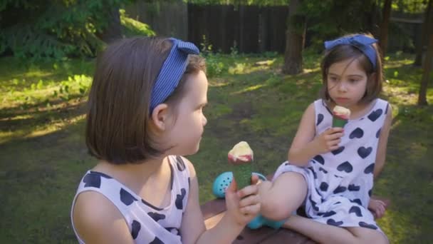 Две красивые девушки едят мороженое на скамейке в летнем лесу — стоковое видео