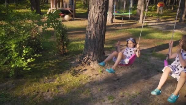 Twee mooie meisjes zijn swingen op een schommel in bos — Stockvideo