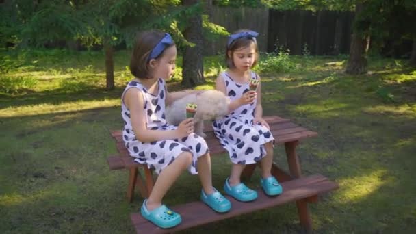 Twee mooie meisjes eten ijs op een bankje in het zomerwoud — Stockvideo