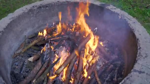 Widok na płonące ognisko w letnim lesie — Wideo stockowe