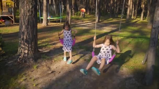Две красивые девушки качаются на качелях в лесу — стоковое видео