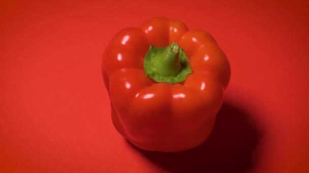 Saftig glänzender Paprika auf rotem Hintergrund — Stockvideo