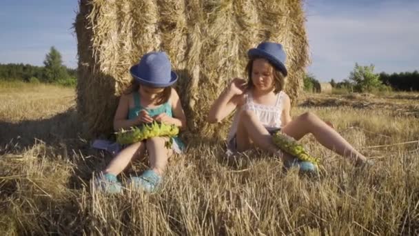 İki büyüleyici kız tarlada çavdar tarlasında ayçekirdeği yiyor. — Stok video