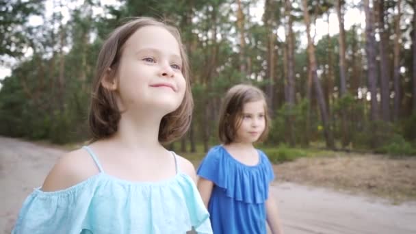 Zwei süße Mädchen laufen die Waldstraße entlang und reden — Stockvideo