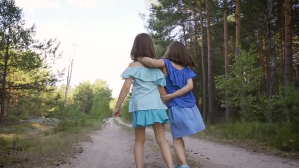 Due ragazze carine stanno camminando lungo la strada forestale e parlando — Video Stock