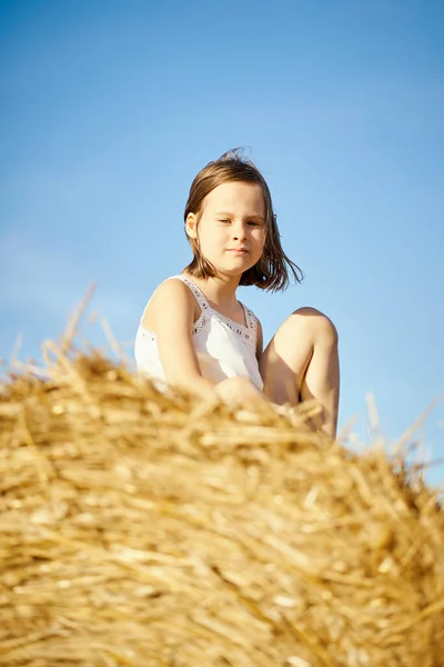 Nettes kleines Mädchen sitzt auf gemähtem Roggen auf dem Feld — Stockfoto