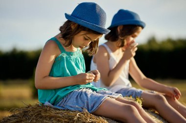 İki büyüleyici kız tarlada çavdar tarlasında ayçekirdeği yiyor.