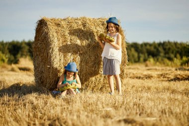 İki büyüleyici kız tarlada çavdar tarlasında ayçekirdeği yiyor.