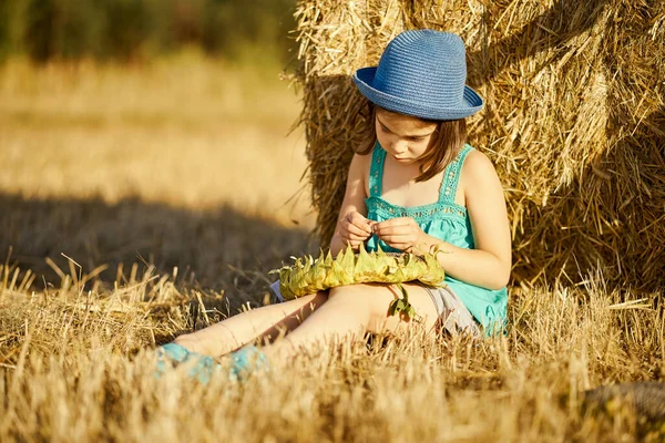 Adorable girl eating sunflower seeds on mown rye in the field Stock Image