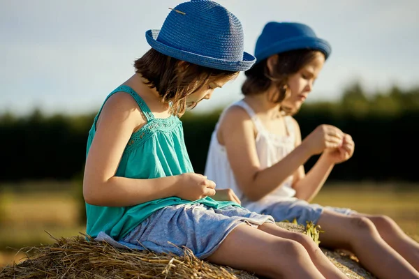 Две очаровательные девушки едят семечки подсолнечника на кошеной рожь в поле Стоковое Фото