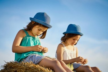 İki büyüleyici kız tarlada çavdar tarlasında ayçekirdeği yiyor.