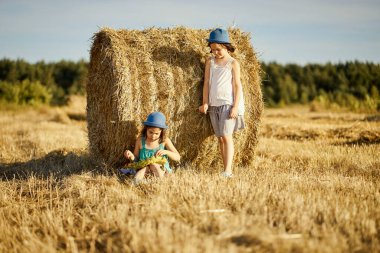 İki büyüleyici kız tarlada çavdar tarlasında ayçekirdeği yiyor.
