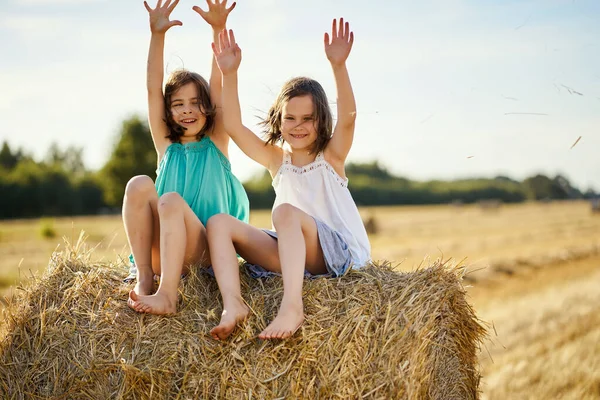 two charming girls are sitting on a roll of mown rye in a field