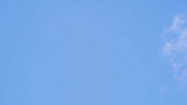 Piękne puszyste chmury na błękitnym niebie w okresie letnim upływają — Wideo stockowe